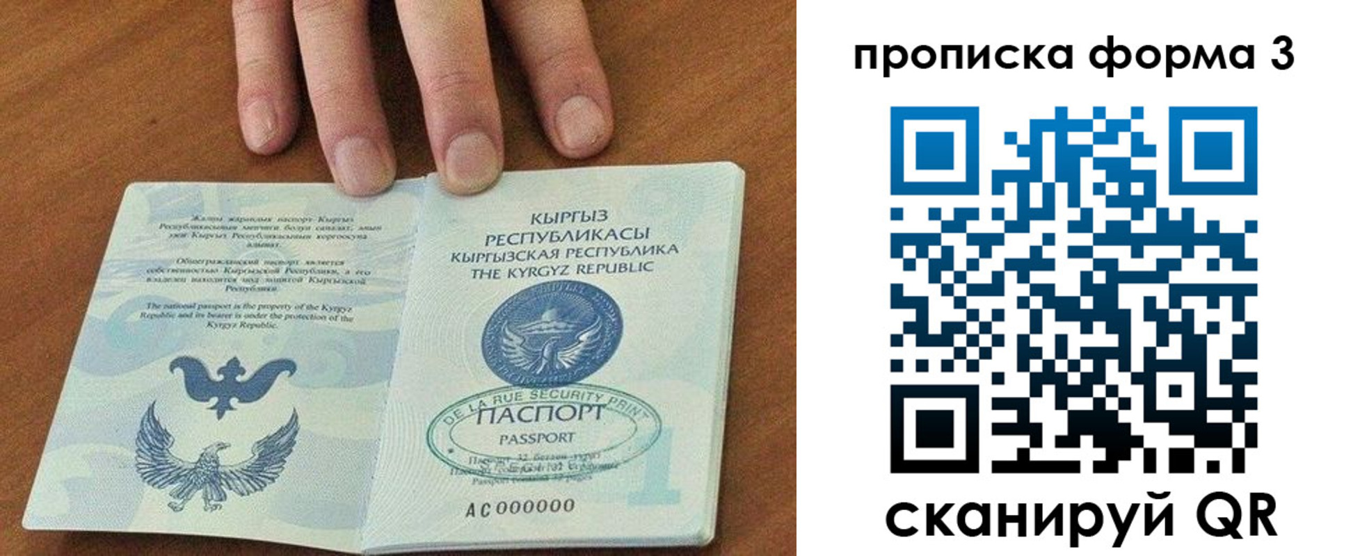 прописка 2025 в Лодейном Поле